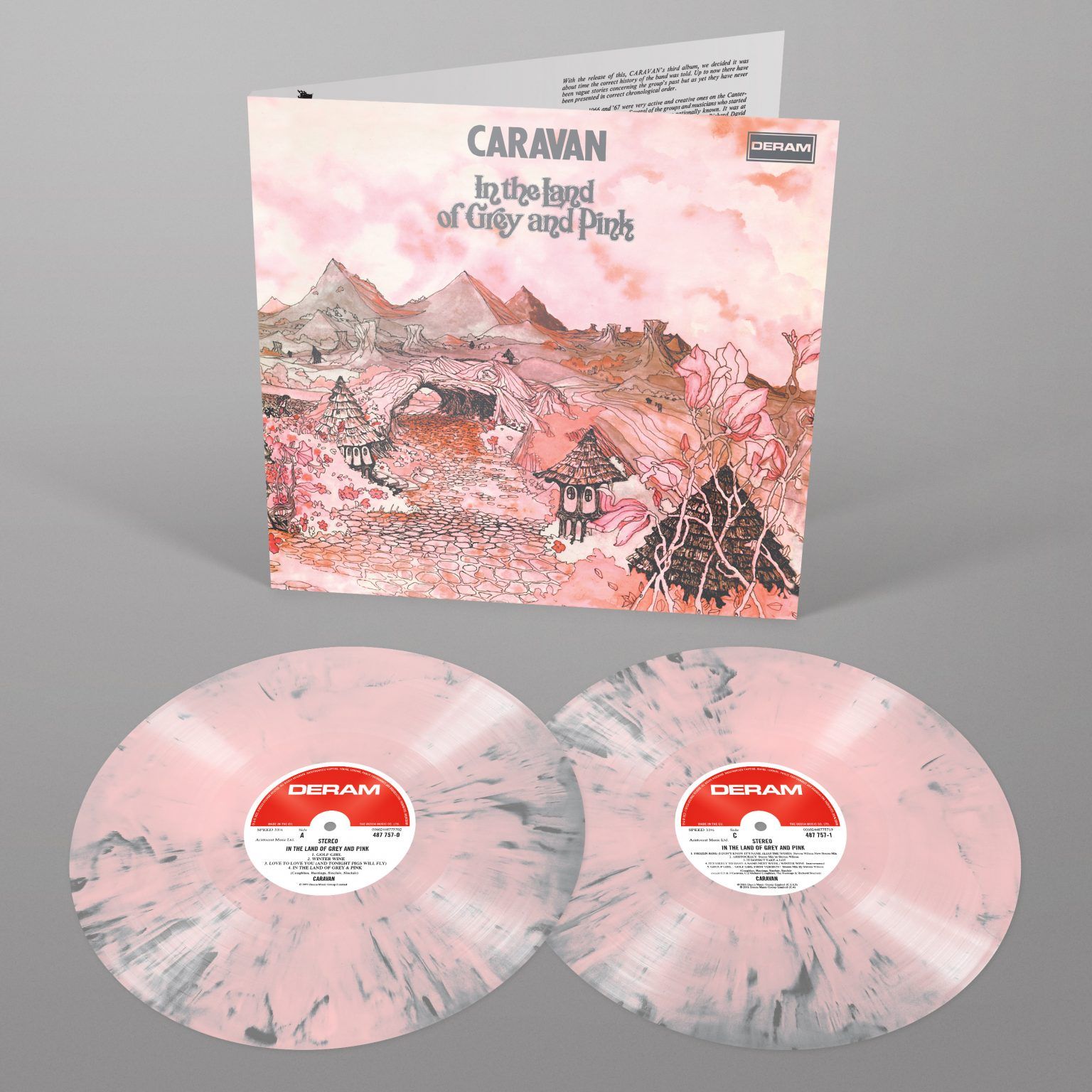 Caravan In The Land Of Grey And Pink 2LP 3D
